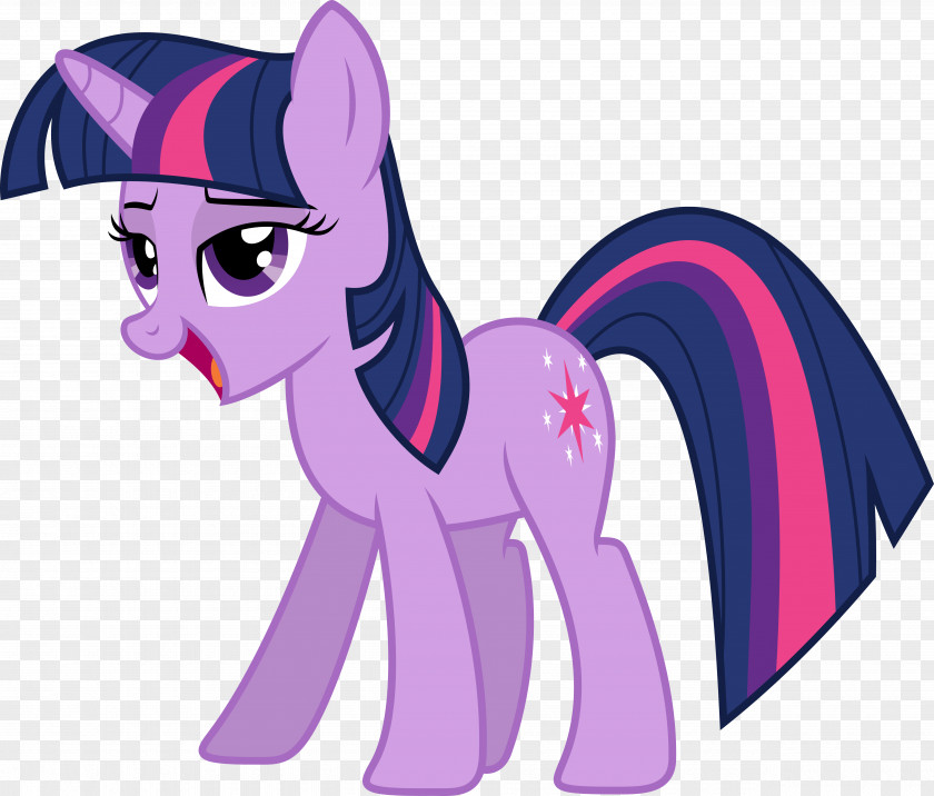Sparkle Vector Twilight Rainbow Dash Pinkie Pie Rarity Pony PNG