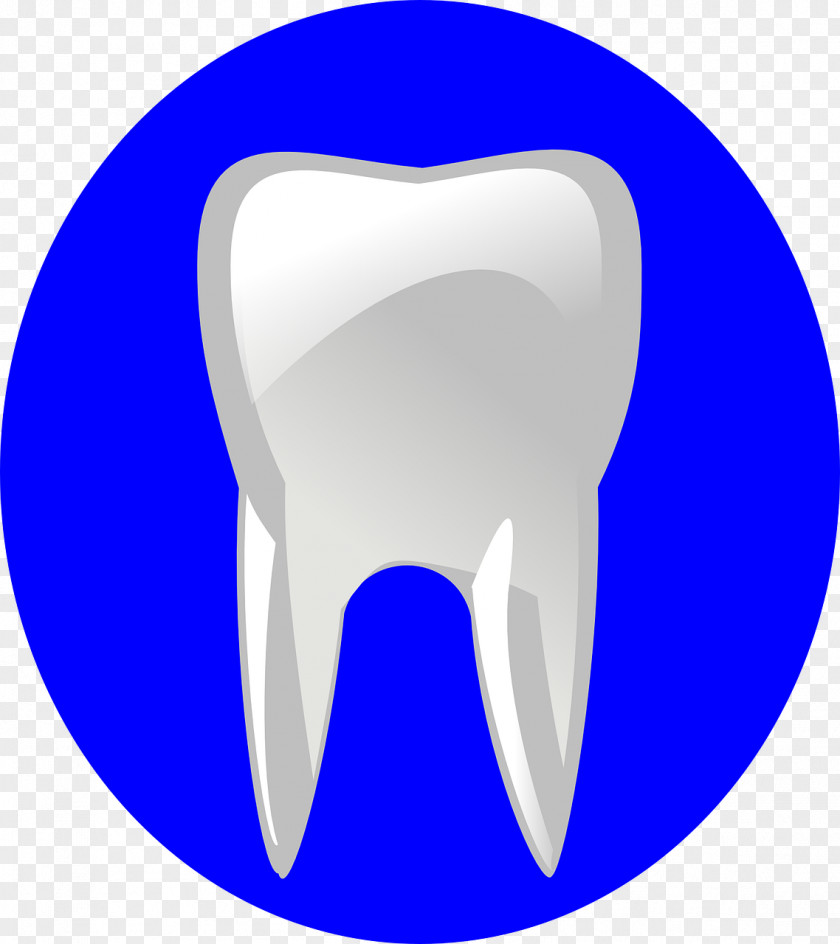 Teeth Dentistry Human Tooth Clip Art PNG