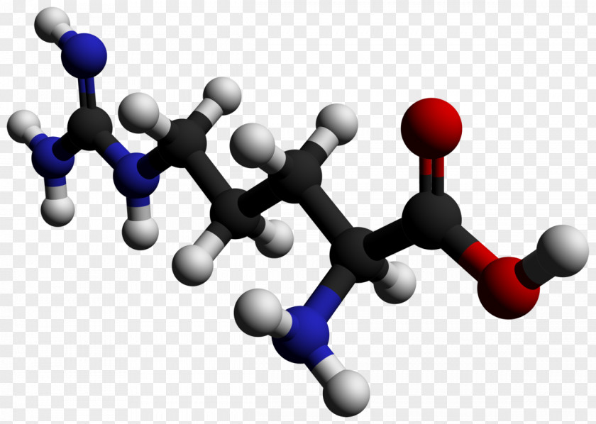 Thumbtack Asymmetric Dimethylarginine Essential Amino Acid PNG