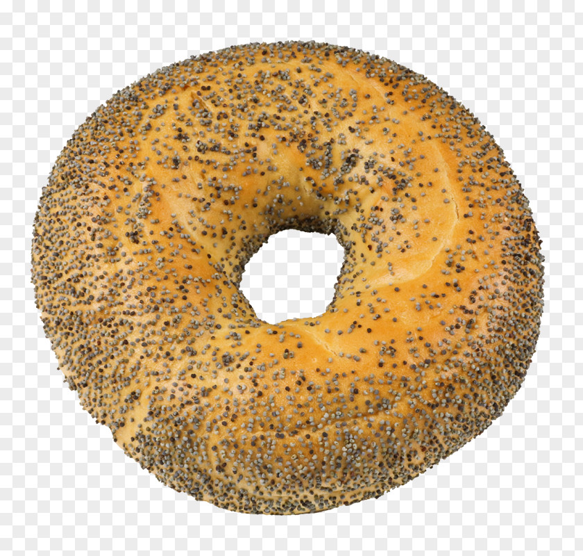 Bagel And Cream Cheese Bialy Poppy Seed Sesame PNG