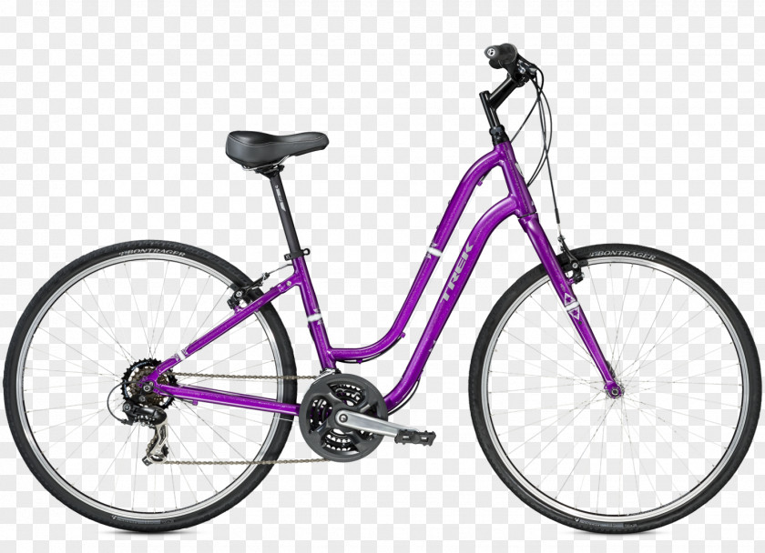 Bicycle Hybrid Cycling Bike Rental Frames PNG