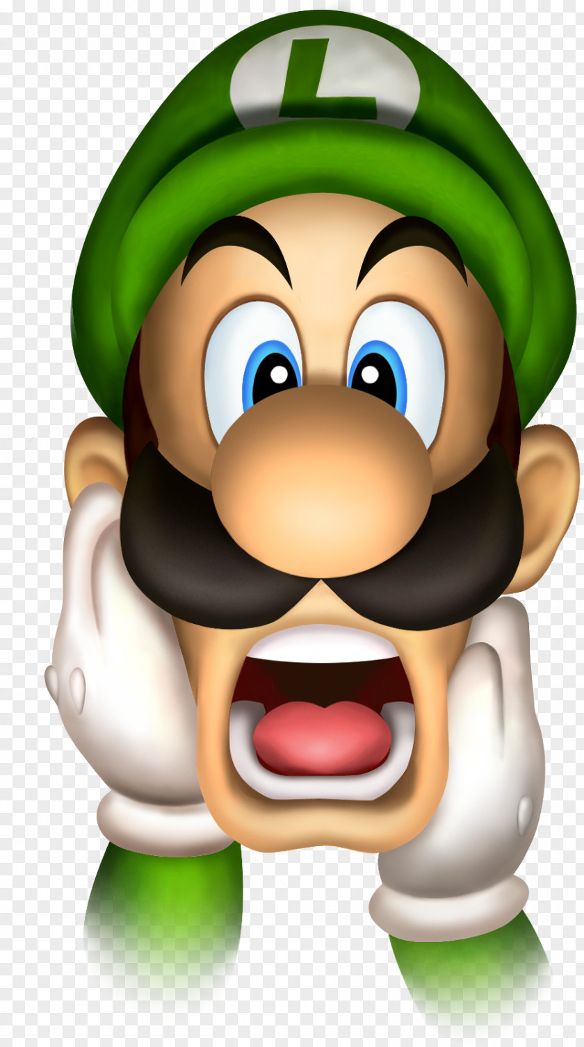 Luigi Luigi's Mansion 2 New Super Mario Bros. PNG