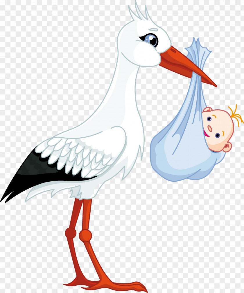 Stork Baby Infant Stock Photography Clip Art PNG