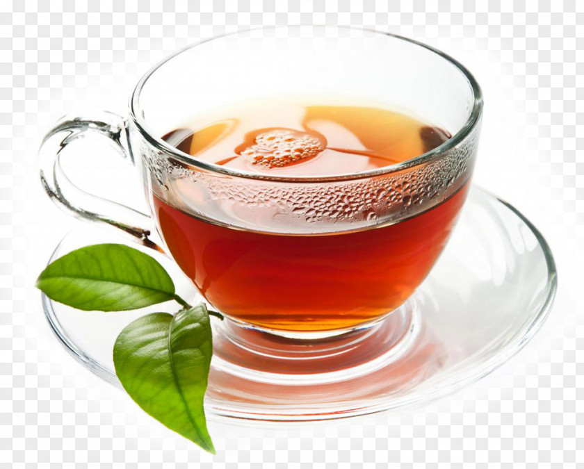 Tea File Green Coffee Production In Sri Lanka PNG