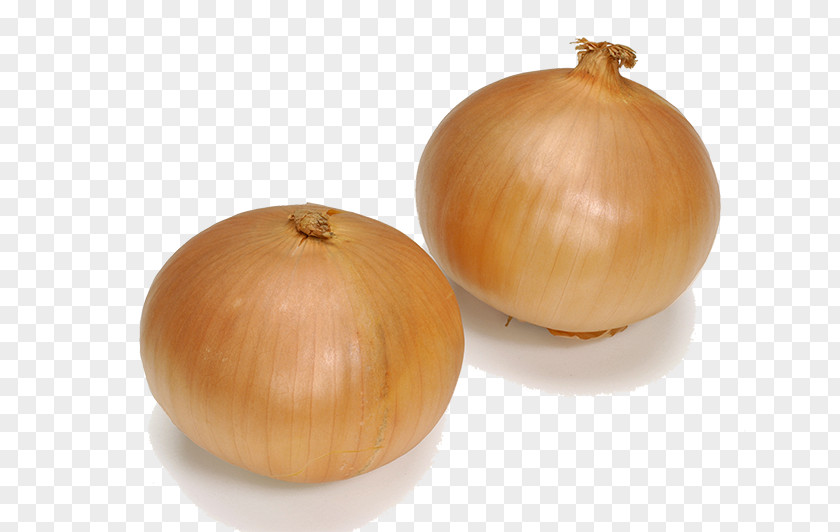 Brown Onion Yellow S&B Foods PNG