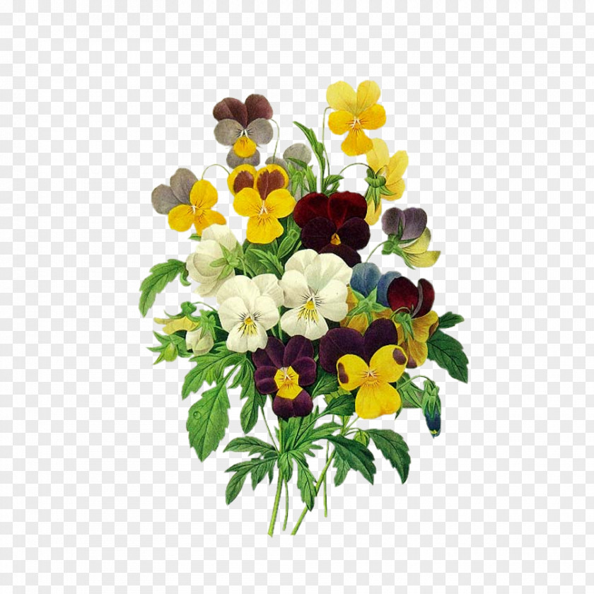 Colorful Bouquet Of Flowers Composition Redoutxe9s Roses Pansy Viola Pedunculata Bouquets Pierre-Joseph Redoutxe9 (1759-1840) PNG