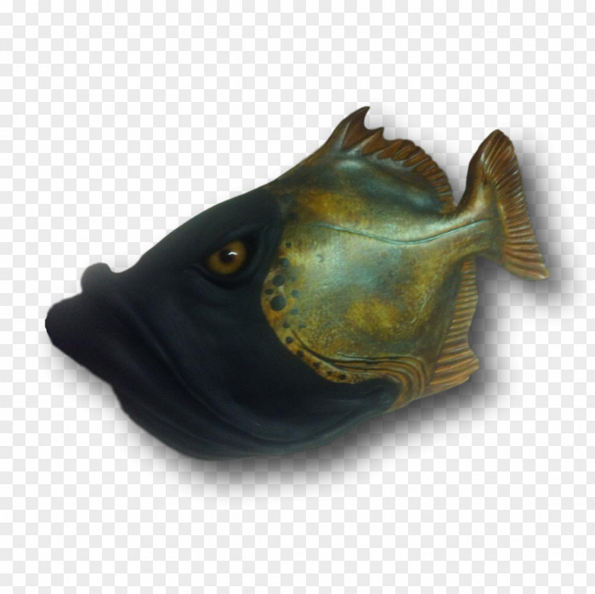 Fish Body Billy Jack Human Mouth Lip Hobby PNG