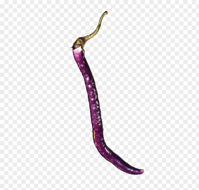 Long Thin Eggplants Eggplant Computer File PNG