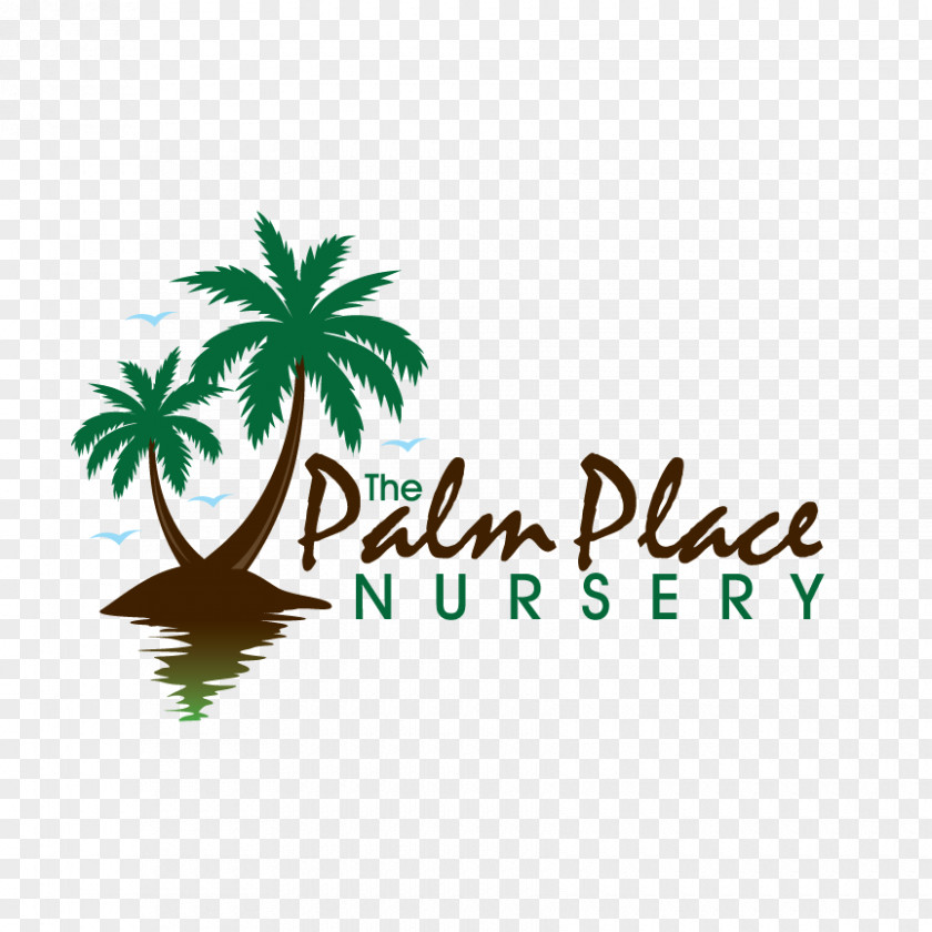 Nursery Watercolor Arecaceae Palm Place Ponytail Ornamental Plant PNG