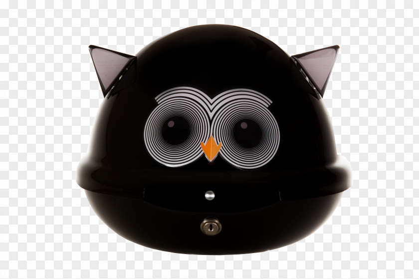 Owl Snout PNG