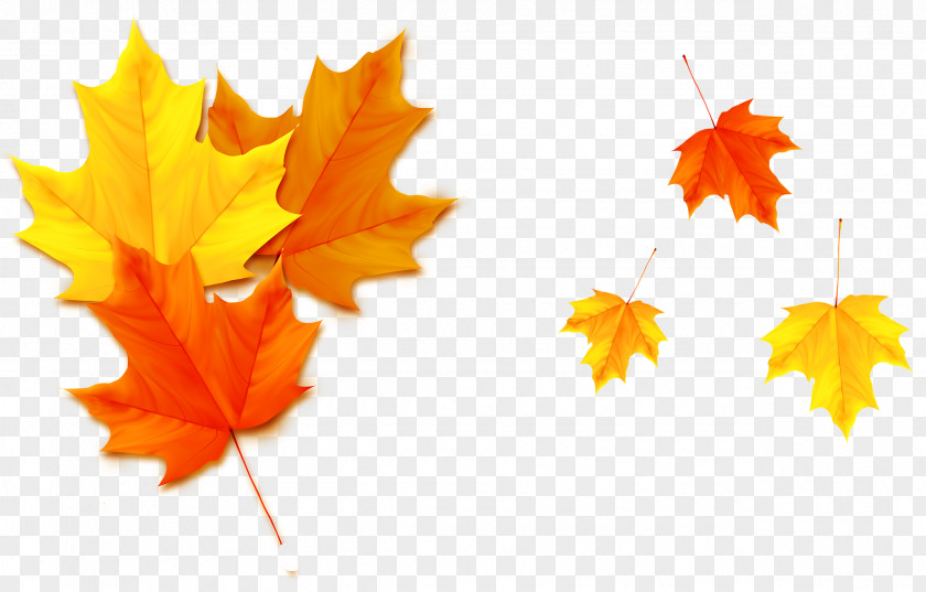 Yellow Leaves Autumn Leaf Poster PNG