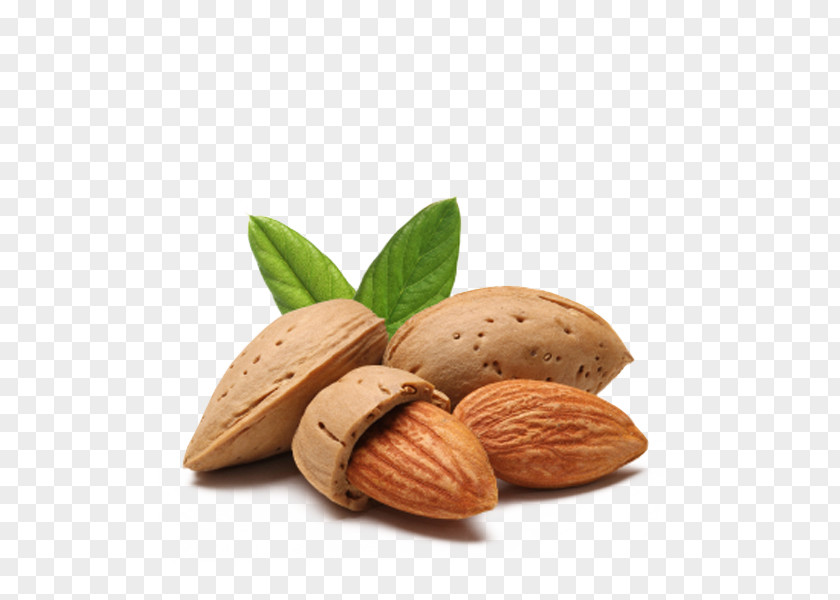 Almond Organic Food Exfoliation Dried Fruit PNG