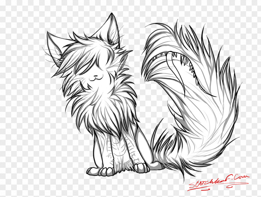 Dog Whiskers Line Art Feather Sketch PNG