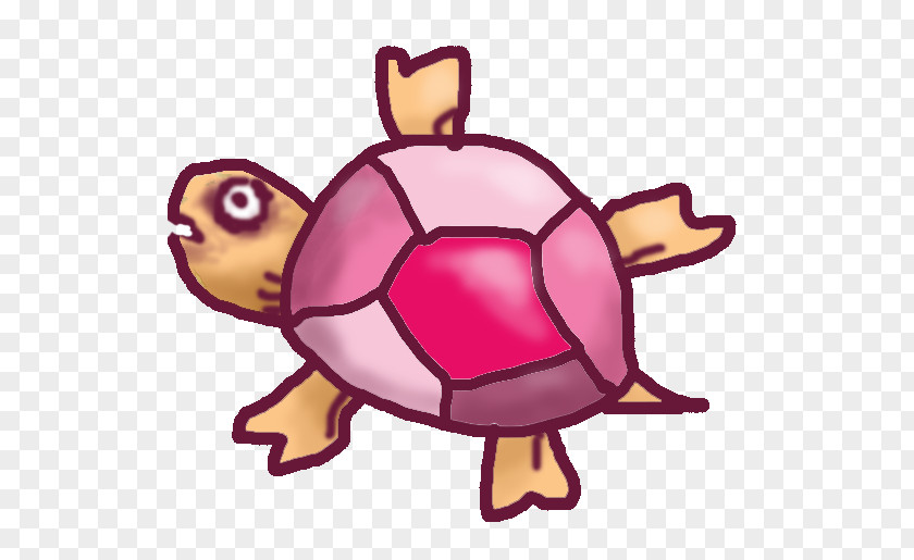 Image Tortoise Illustration Painting Drawing PNG
