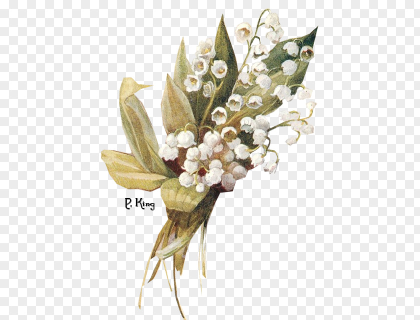 Lily Of The Valley Free Download Flower PNG