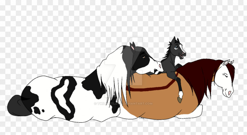 Mustang Pony Stallion Colt Dog PNG
