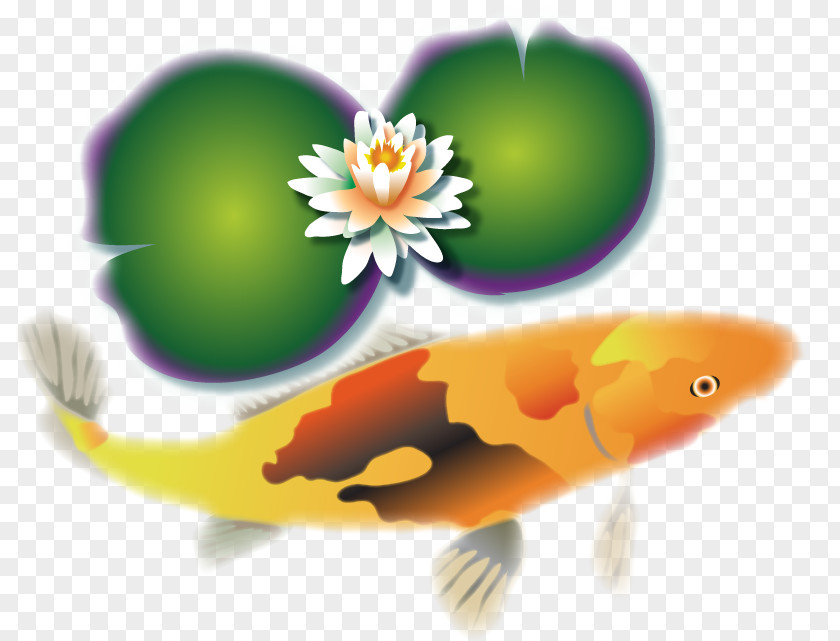 Orange Blue Green Koi Brown PNG