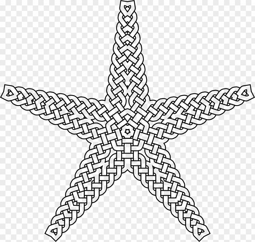 Qr Codea4 Starfish Lost Ocean, An Inky Adventure And Colouring Book PNG