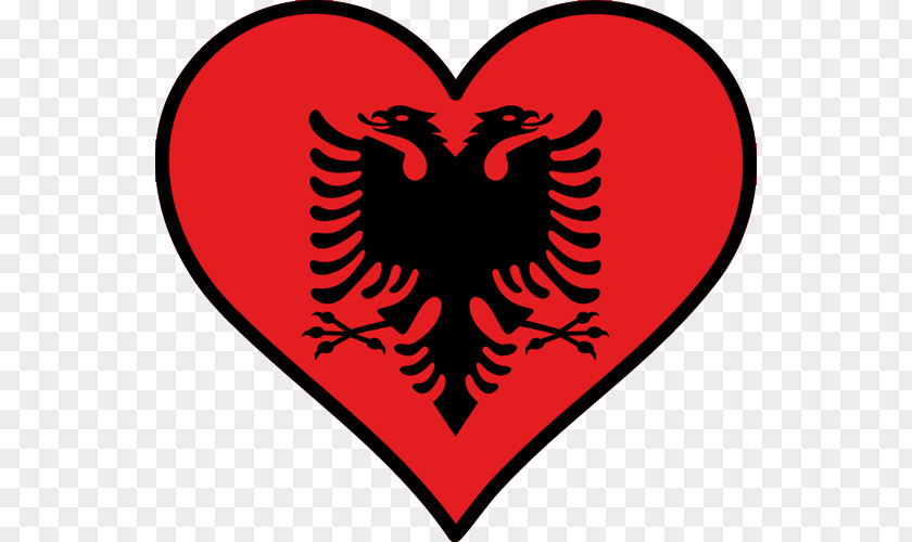 Flag Of Albania Albanian Parliamentary Election, 1992 Ensign PNG