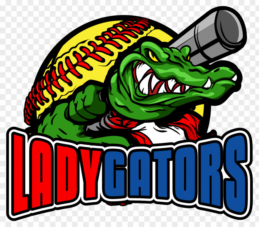 Softball Florida Gators Fastpitch Peregrine Park Catcher PNG