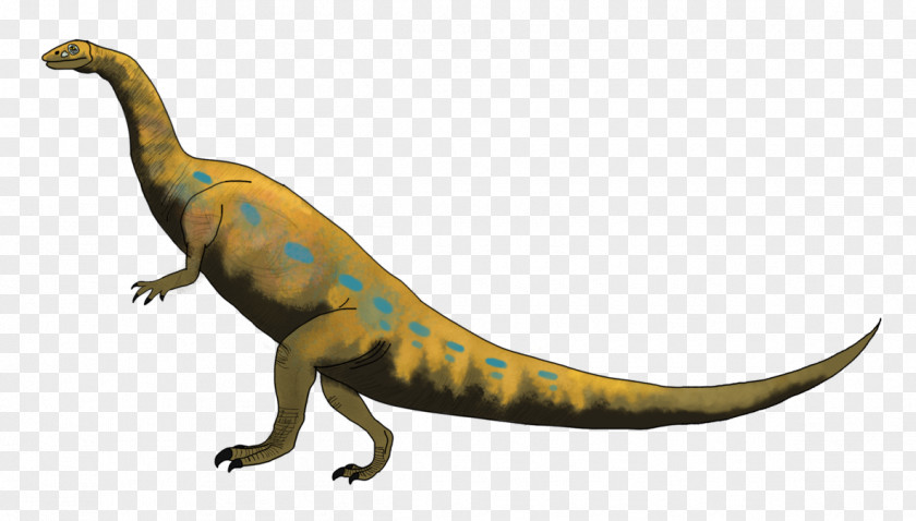 Brachiosaurus Yunnanosaurus Unaysaurus Tyrannosaurus Sinosaurus Lower Lufeng Series PNG