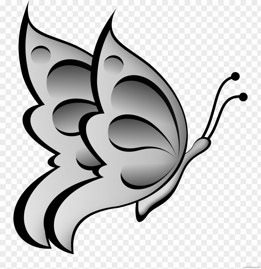 Butterfly Clip Art Vector Graphics Image Illustration PNG