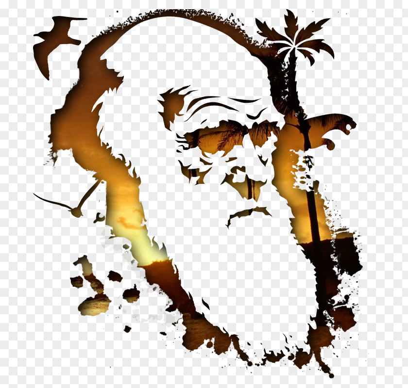 Darwin Desktop Wallpaper Clip Art Illustration Graphic Design Graphics PNG