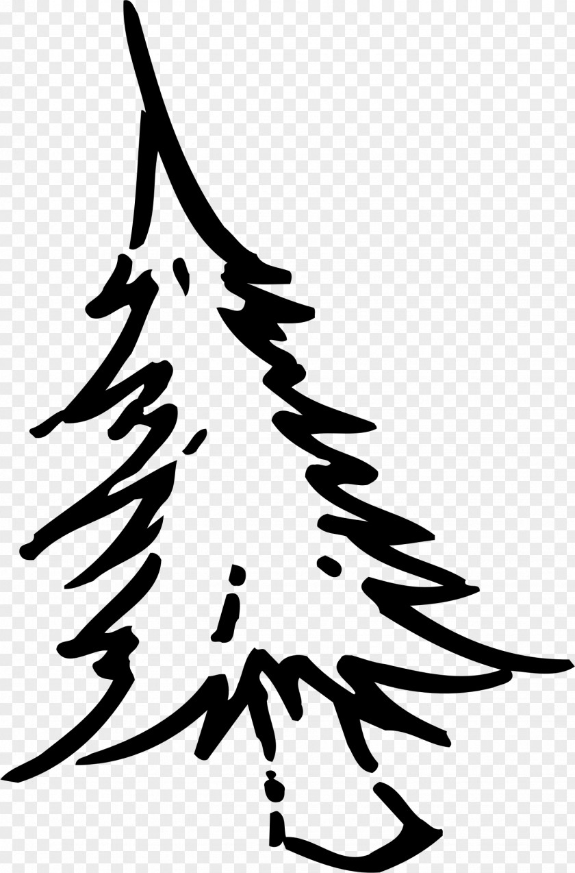 Fir-tree Christmas Tree Drawing Clip Art PNG