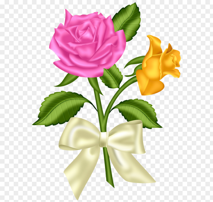Fresh Flowers Flower Pink Blue Rose Clip Art PNG