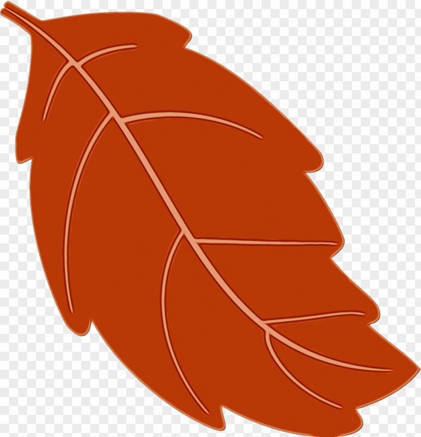 Natural Material Plant Orange PNG