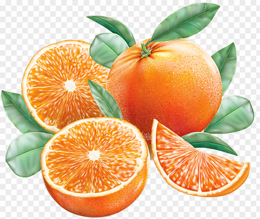 Orange PNG