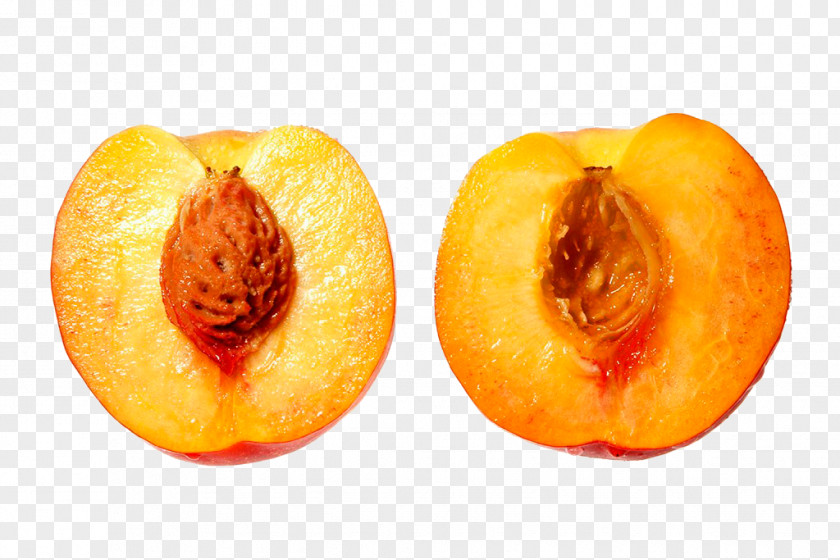 Peach Nectarine CorelDRAW Download PNG