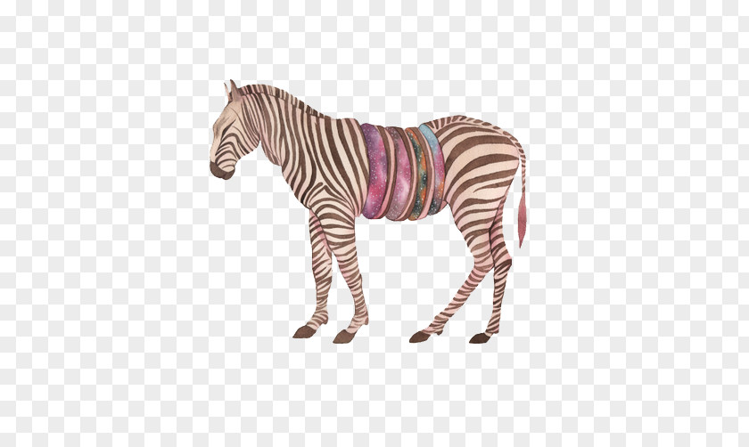 Zebra Quagga Icon PNG