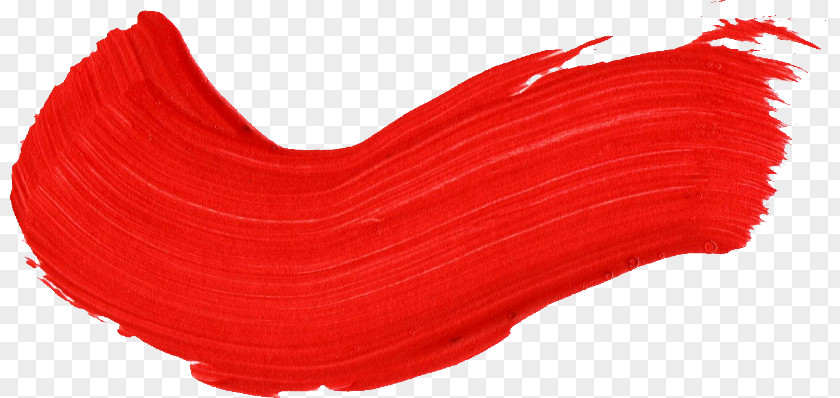 BrushPaint Paintbrush Red PNG