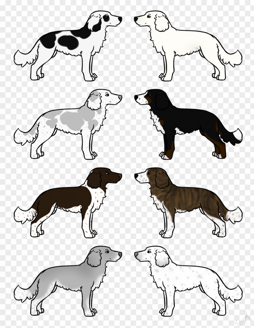 Cat Dog Breed /m/02csf Clip Art PNG