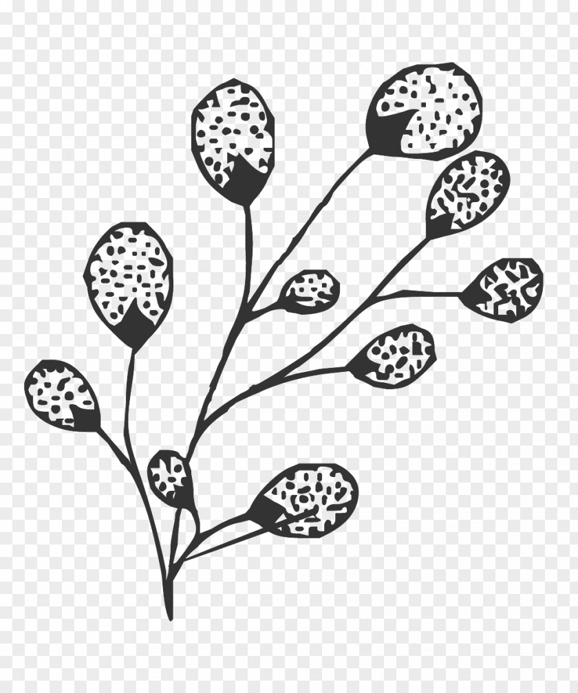 Floral Line Art. PNG