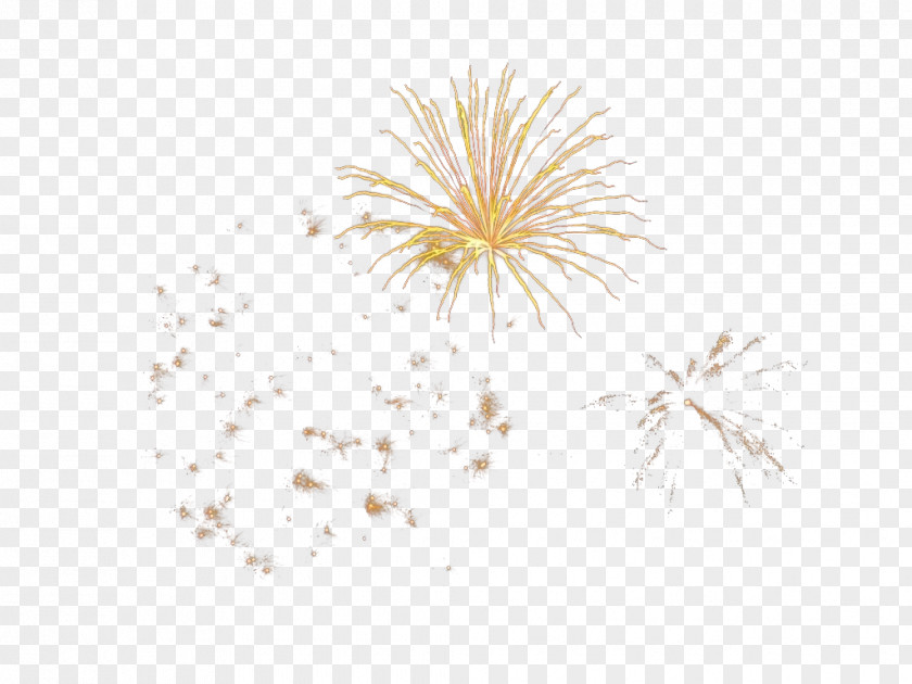 Golden Fireworks Bloom Petal Computer Pattern PNG