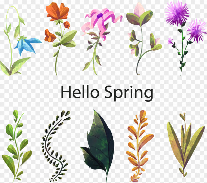 Hello Spring Flowers Floral Design Watercolor Painting Flower Plant PNG
