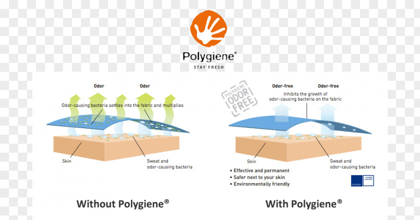 Line Angle Diagram PNG