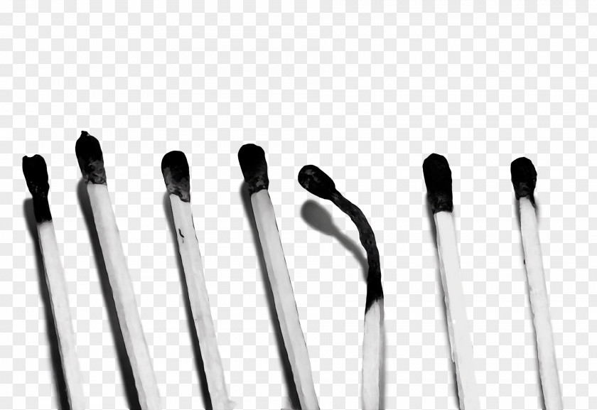 Makeup Brush PNG