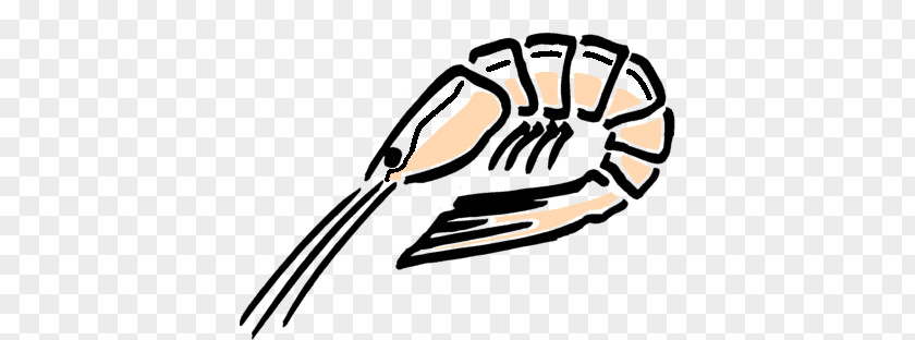 Shrimp And Grits Drawing Clip Art PNG