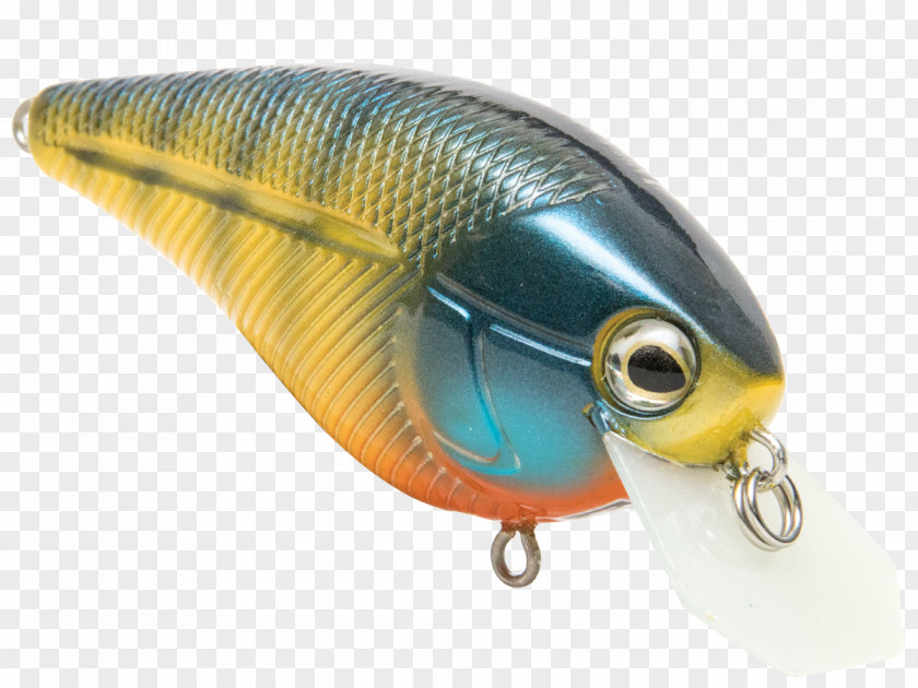 Spoon Lure Perch Fish AC Power Plugs And Sockets PNG