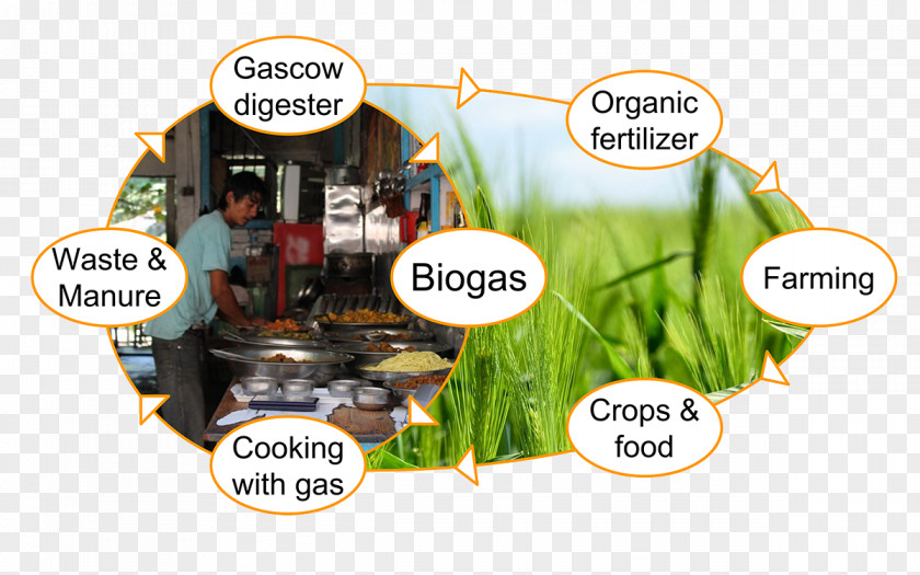 Biogas Service Customer Waste-to-energy PNG