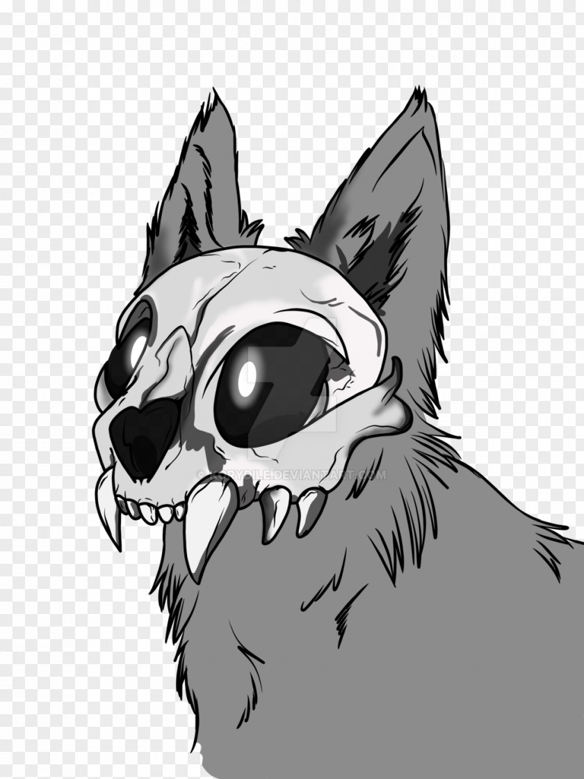 Cat Whiskers Drawing Dog Skull PNG