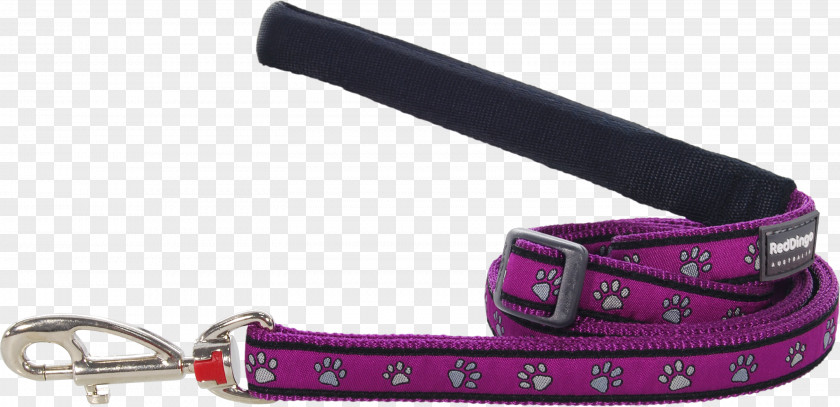 Dog Leash Dingo Cat Collar PNG