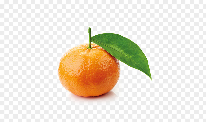 Mandarin Clementine Marmalade Tangerine Mandarina Orange PNG