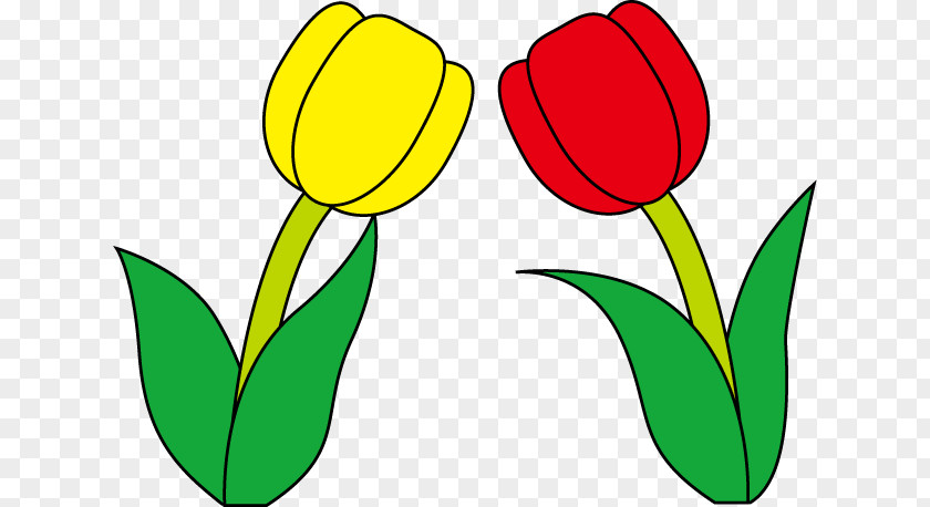 Tulip Clip Art Flower Illustration Design PNG