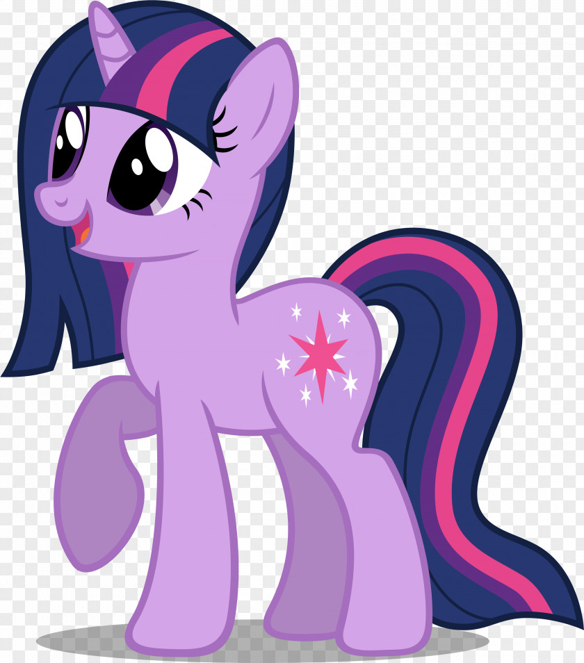 Twilight Sparkle Pony Pinkie Pie Applejack Princess Celestia PNG