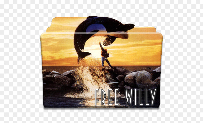 Willy Hollywood Free Killer Whale Film Cinema PNG