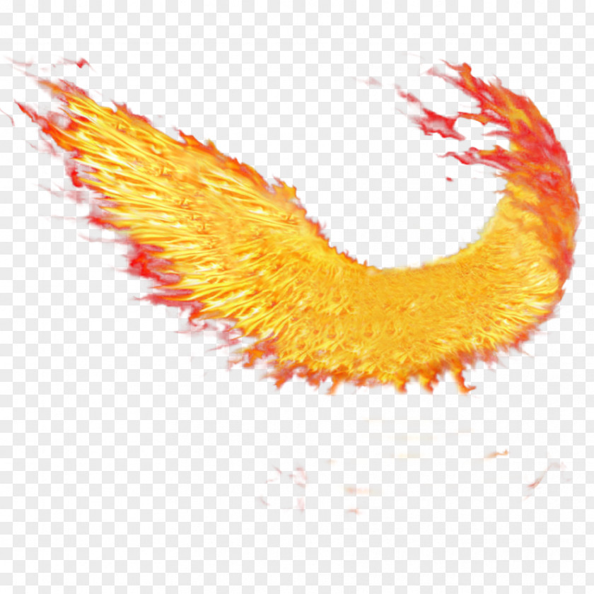 Wings Of Fire Desktop Wallpaper Clip Art PNG